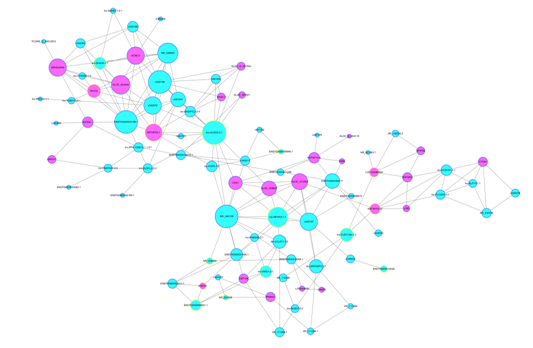 lncRNA 和 mRNA 共表达分析