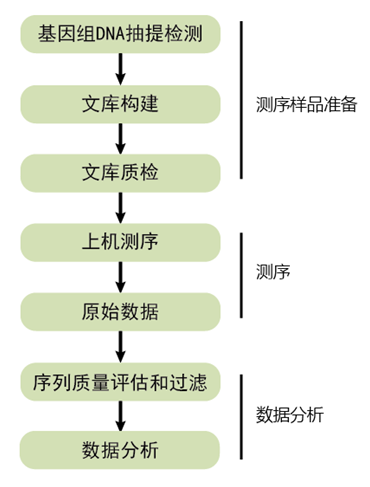 全基因组重测序项目流程