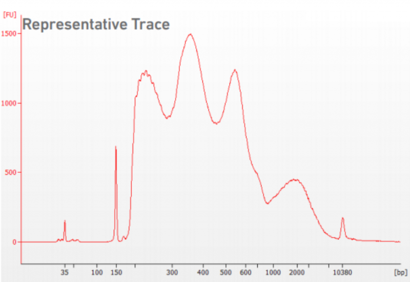 Agilent Bioanalyzer High Sensitivity DNA chip 质检结果图