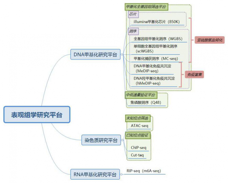  凯发k8国际表观遗传学研究平台简介图 