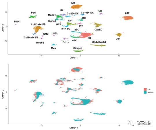 单细胞核测序 scRNA-seq 图 3