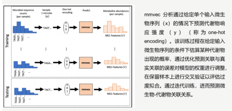 mmvec 分析原理示意图 