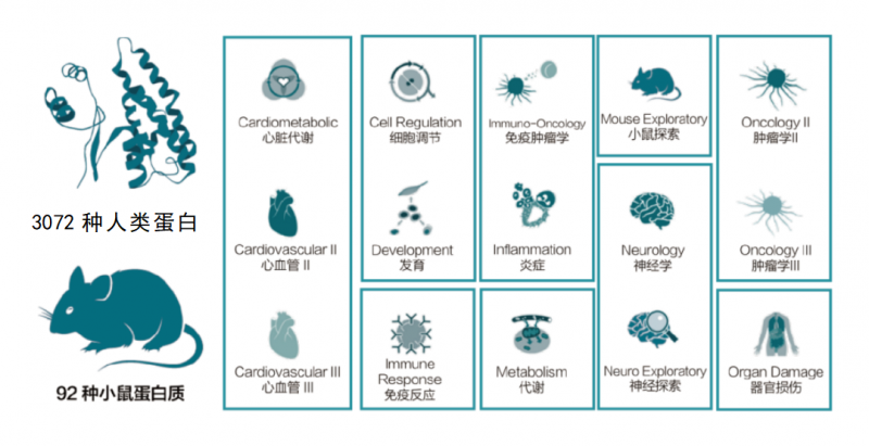 凯发k8国际 Olink 技术服务