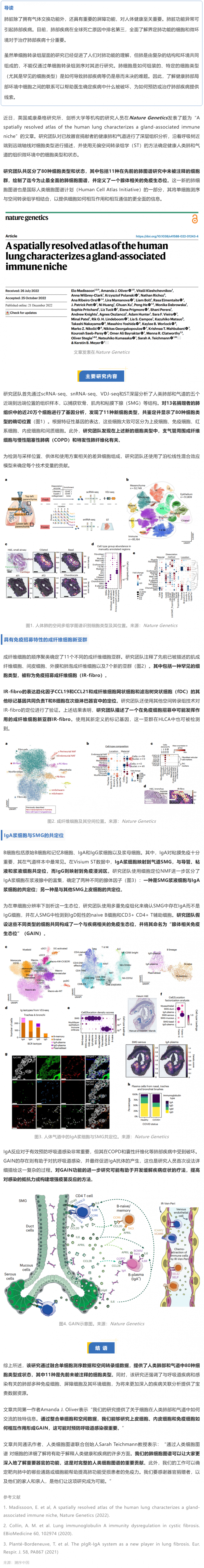 Nat Genet 发布迄今最全面的人类肺细胞空间图谱，首次揭示腺体相关的免疫生态位