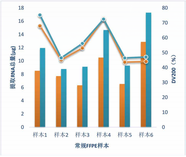 常规 FFPE 样本