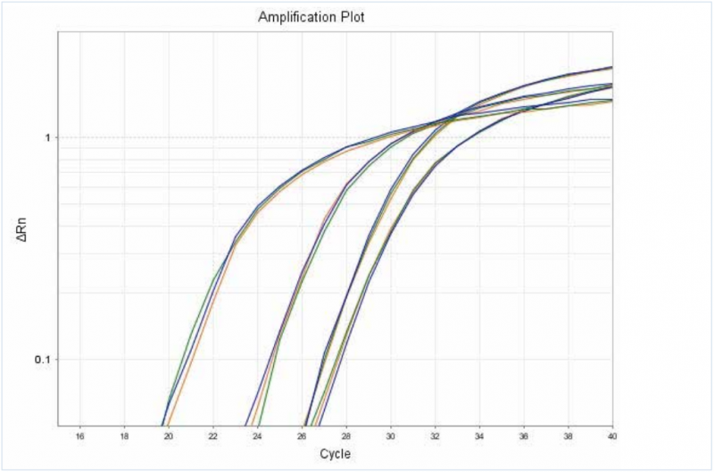 RNA 纯度与质量荧光定量 PCR 检测