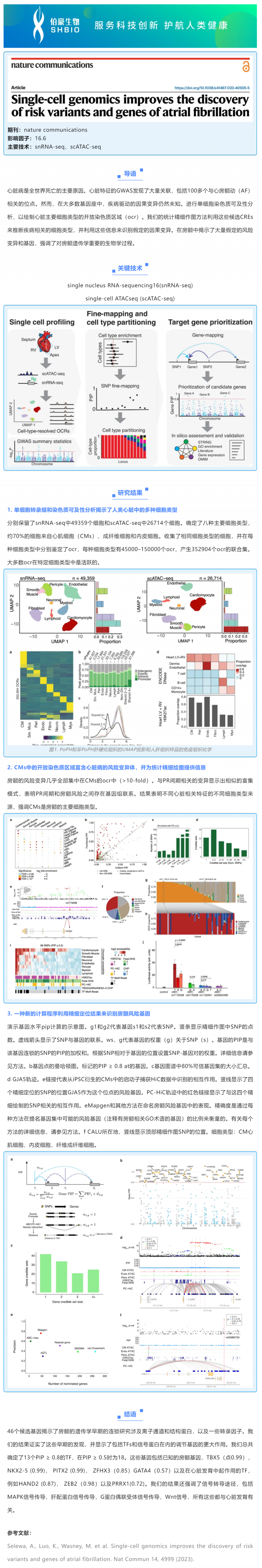 文献解读 _ 单细胞基因组学有助于发现房颤的风险变异和基因