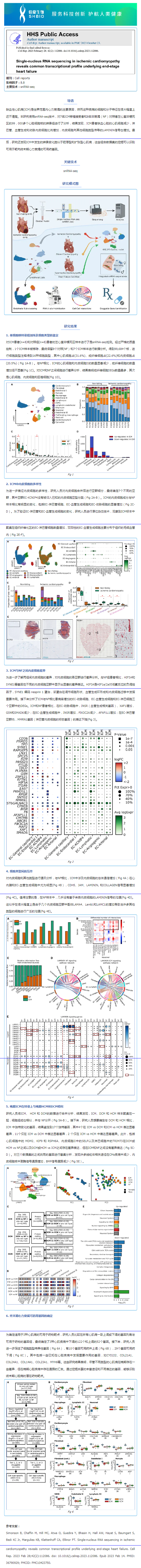 文献解读 _ 缺血性心肌病患者的单核 RNA 测序显示终末期心力衰竭的共同转录模式