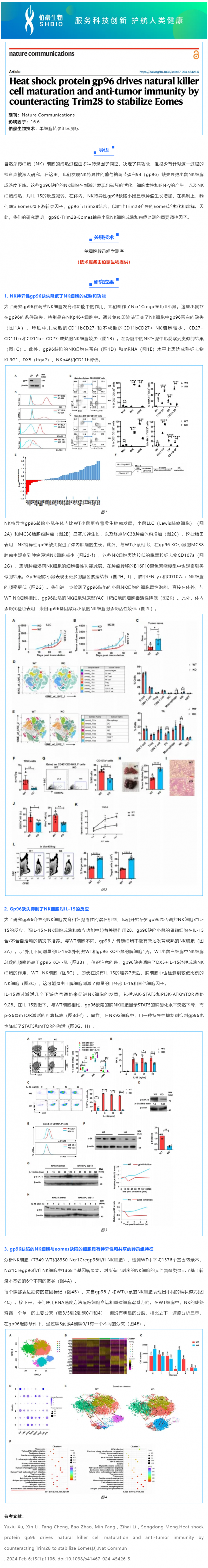 529 项目文章 _ 热休克蛋白 gp96 通过对抗 Trim28 来稳定 Eomes，从而驱动自然杀伤细胞的成熟和抗