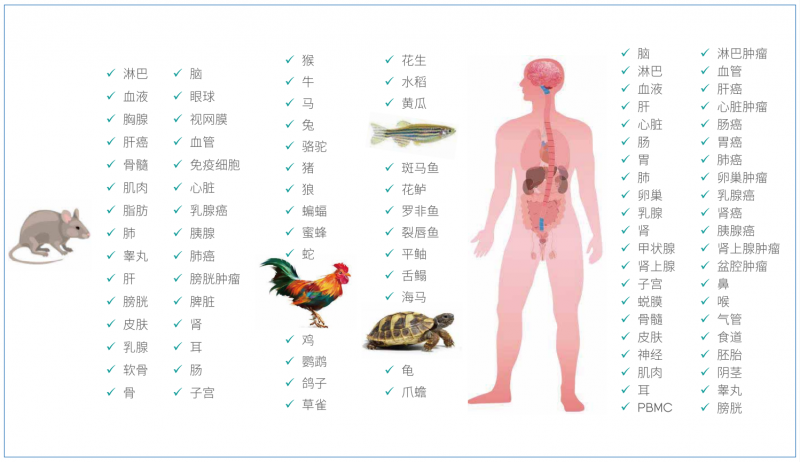  凯发k8国际华大设备单细胞测序适用样本类型 