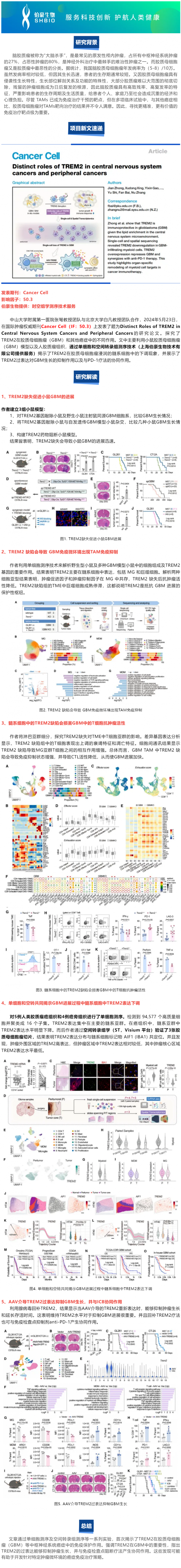 524 项目文章 |Cancer Cell-TREM2 在中枢神经系统癌症和外周肿瘤中的独特作用