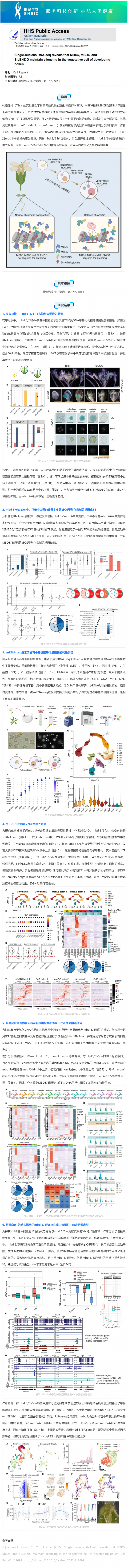 2024-08-16 文献解读 _ 单细胞核 RNA 测序表明 MBD5、MBD6 和 SILENZIO 在发育花粉的营养细胞中沉默基