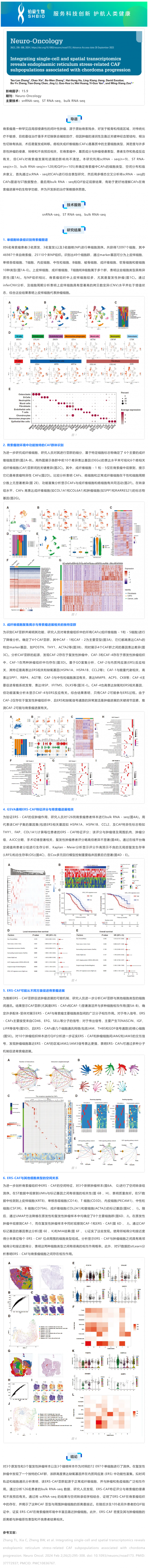 文献解读 _ 整合单细胞和空间转录组学揭示与脊索瘤进展相关的内质网应激相关 CAF 亚群