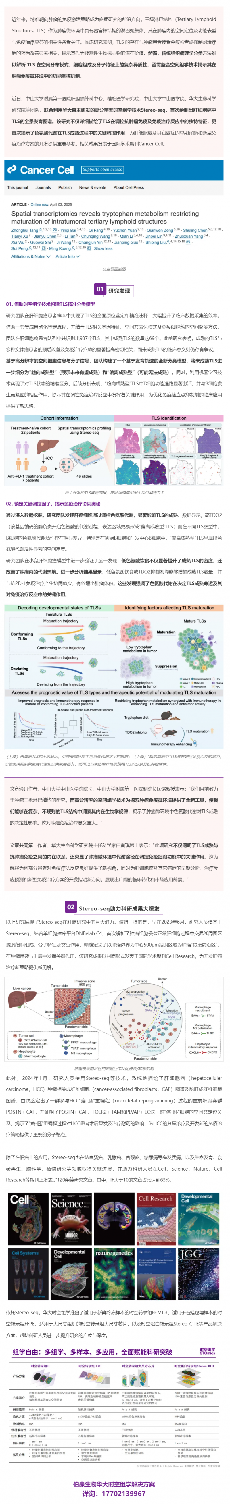 Cancer Cell _ 首个肝细胞癌中 TLS 的全景发育图谱！Stereo-seq 助力肝癌研究再获